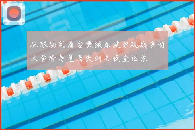 从球场到看台樊振东波尔观战多特大黄蜂与皇马失利之夜全记录