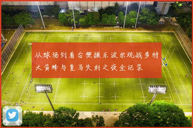 从球场到看台樊振东波尔观战多特大黄蜂与皇马失利之夜全记录