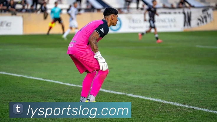 乐鱼体育APP 封面图