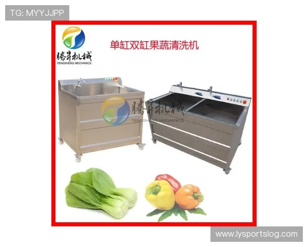 健身房必备基础健身器材清单与推荐